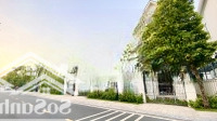 Duy Nhất! Bt Song Lập San Hô 6 Gần Công Viên Bể Bơi Tại Vinhomes Ocean Park 1 Gia Lâm