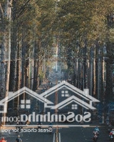 Bán Khách Sạn 2 Sao Mặt Tiền Nam Kỳ Khởi Nghĩa, Phường 1, Đà Lạt, 22 Phòng, 6,2M X 22M Dtcn 123M