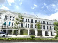 Bán Nhanh 19 Tỷ Shophouse 100M2 Hải Âu 02 Đông Nam Đường 30M Kinh Doanh Vinhomes Ocean Park Gia Lâm