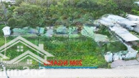 Bán Gấp Lô Đất Tại Xã Phước Bình, Long Thành, Đồng Nai, 3,7 Tỷ, 1000M2 Giá Tốt