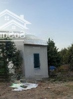 Bán Vườn Sầu Riềng Năm 3 Mặt Tiền Dài Miên Man Xã Phú Thịnh Tân Phú Đồng Nai