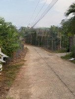 Bán Vườn Sầu Riềng Năm 3 Mặt Tiền Dài Miên Man Xã Phú Thịnh Tân Phú Đồng Nai