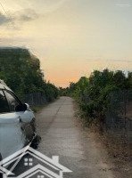 Bán Vườn Sầu Riềng Năm 3 Mặt Tiền Dài Miên Man Xã Phú Thịnh Tân Phú Đồng Nai