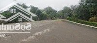 Mua Bán Kho, Nhà Xưởng, Xây Dựng Công Ty