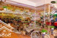 Cho Thuê Mặt Bằng Kinh Doanh Phố Sầm Uất Phạm Ngọc Thạch 140M2 Mặt Tiền 5M Liên Hệ: 0913319386