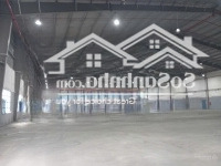 Cho Thuê Kho Xưởng 10.000M2 Thủ Đức, Pccc Tự Động
