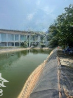 Cho Thuê Lại Hồ Câu Cá 1000M2 Hẻm Đường Số Phường Trường Thọ Thủ Đức