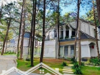 Biệt Thự Đơn Lập Nằm 80Ha Rừng Cây Lâu Năm Sở Hữu Bằng Vốn Tự Có Chỉ Hơn 6 Tỷ