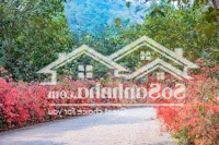 Biệt Thự Đơn Lập Nằm 80Ha Rừng Cây Lâu Năm Sở Hữu Bằng Vốn Tự Có Chỉ Hơn 6 Tỷ