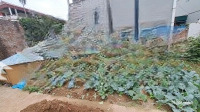 Bán 40M Thôn Cổ Giang, Lệ Chi, Mặt Tiền 4M, Hướng Tây Nam, Ngõ Nông Thẳng, Giá Bán 2 Tỷ 100 Triệu
