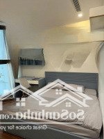 Cam Kết Giá Rẻ Nhất Thị Trường, Chính Chủ Bán Căn Hộ Cao Cấp Vin Metropolis Nội Thất Full, Sẵn Sổ