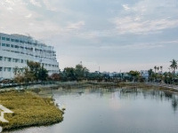 Đất Biệt Thự 354M2 - Đường Nhựa 12M - Sổ Riêng - Full Thổ Cư - Ngay Cổng Chào Bình Dương - 10,9Ty