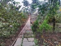 Cg Bán Lô Đất Vip 3 Mặt Tiền 6400M2 Có 4000M2 Thổ Cư Cách Ubnd Bình Mỹ 500M Đường Xe Tải Lớn