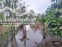 Cg Bán Lô Đất Vip 3 Mặt Tiền 6400M2 Có 4000M2 Thổ Cư Cách Ubnd Bình Mỹ 500M Đường Xe Tải Lớn