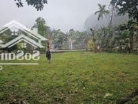 Cc Gửi Bán Mảnh Đất 373M2, Có 100M2 Tc Tại Liên Sơn Hòa Bình, Giá Rẻ Giật Mình