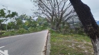 Bán Đất Nguyễn Tất Thành Nối Dài Cách Dự Án Vin Làng Vân 4 Km