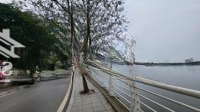 Siêu Phẩm Mp Nguyễn Đình Thi, Tây Hồ, Hà Nội. Mặt Hồ, Vỉa Hè Rộng.diện Tích70M2, Giá Tốt 57,2 Tỷ