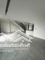 Cho Thuê Căn Hoa Hậu Duplex Góc 154M2. Cơ Bản. Sunshine Green Iconic. Giá: 16.5 Triệu/ Tháng