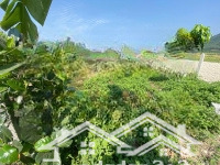 Bán Gấp Lô Đất Dân Diên Tân Diên Khánh