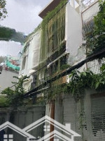 Cần Bán Gấp - Nhà Mặt Tiền Khu K300, Tân Bình (Dt: 8X20M) Nhà 3 Lầu Giảm 5 Tỷ, Chỉ Còn 25 Tỷ!