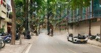 Hoa Hậu Mặt Phố Kinh Doanh Đỉnh Cao Phan Kế Bính Diện Tích: 99 M2 Đấtmặt Tiền8.6M 45 Tỷ Ba Đình