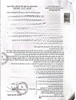 Nhận Booking Chọn Căn Mở Bán Giai Đoạn 1 Happy One Sora
