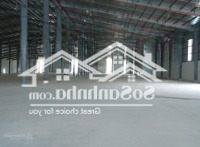 Cho Thuê Kho Xưởng Theo Nhu Cầu Giá Tốt 3000M2, 5000M2, 10.000M2...25.000M2 Kcn Đức Hòa, Long An