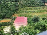 Bán 1 Sào Đất Có Sẵn Home Nghỉ Dưỡng