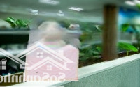 Bán Đất Nền - Vinhomes Hậu Nghĩa - Thổ Cư 100%,Diện Tích10M X 59M - Đường 3/2, Đức Hoà, Long An Đông Đúc