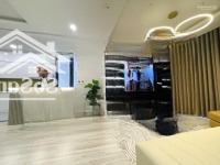 Hiếm! Cho Thuê Căn Hộ Cao Cấp 110M2, 3 Phòng Ngủ 2 Vệ Sinh Full Mới 100% Tại Brg Diamond Lê Văn Lương