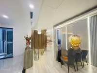 Hiếm! Cho Thuê Căn Hộ Cao Cấp 110M2, 3 Phòng Ngủ 2 Vệ Sinh Full Mới 100% Tại Brg Diamond Lê Văn Lương