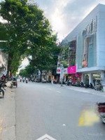 Nhà Mới Kín!! Buildingmặt Tiềnlê Văn Sỹ Dt(12M*17M) Hầm 10 Tầng . Chỉ 145 Tỷcó Thương Lượnghdt: 450 Triệu/Tháng