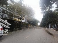Phân Lô Vip 7.2 Ha Vĩnh Phúc, Ba Đình - Vỉa Hè Ô Tô Tránh - Thang Máy - Nội Thất Đẹp - Kinh Doanh