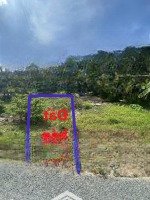 Bán Đất Nền Đông Bình, Đông Thành, Bình Minh, 330 Triệu, 98.1 M2, View Sông, Gần Chợ Hoá Thành
