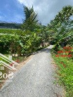 Bán Đất Nền Đông Bình, Đông Thành, Bình Minh, 330 Triệu, 98.1 M2, View Sông, Gần Chợ Hoá Thành