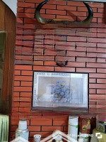 Cơ Hội Đầu Tư Tiềm Năng Không Thể Bỏ Lỡ