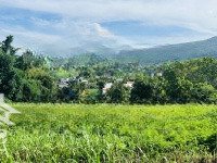 Bán Lô Đất Biệt Thự 5500M2 Ngay Trung Tâm Huyện Đức Trọng, Giá Ngộp