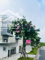 Duy Nhất 1 Căn Nhà Phố 8X20M Chỉ 7,7 Tỷ Có Vat. Nhà Gần Sông Lớn, Gần Clup House. Liên Hệ: 0989627447