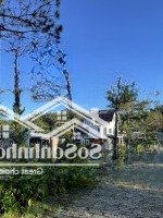 Cho Thuê Resort Nhỏ Giữa Rừng Thông Đà Lạt ( 2 Căn Villa Gần Nhau )