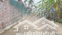 Giá Nóng Nhất Thị Trường Dc -Tại Xuân Đồng Tân Minh Sóc Sơn Hà Nộidiện Tích-95M Full Thổ Cư