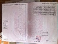 Bán Nhanh Lô Đất Đẹp Đường 25M Dự Án Hud Nhơn Trạch, Ngang 7M, Vị Trí Cực Kì Tiềm Năng
