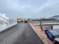Hàng Đẹp!!Lô Đất Quất Lâm, Giao Thủy, 88M2 Ngay Bãi Tắm Trung Tâm, Giáp Flamigo, Quảng Trường Biển