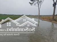 Đất Trong Dân Tương Lai Ra Mặt Đường Qh 20M 755 Triệu, 105 M2
