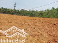 Đất Trong Dân Tương Lai Ra Mặt Đường Qh 20M 755 Triệu, 105 M2