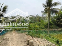Bán 5358M2 Đất Ngay Tam Đa, Long Trường Q9 - Ngang 200X250M Vuông Vức - Giá Chỉ 21.5 Tỷ Tl