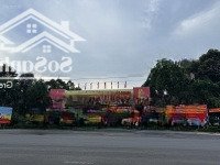 Cắt Lỗ 70% Lô Đất Tđc Becamex 150M2 Fun Thổ Xây Dựng Tự Do Giá Chỉ 550 Triệu/Lo Liên Hệ:0985761818