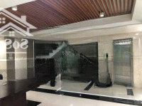 Building Hơn 1.200M2, Ngang 10M Số 20 Bùi Thị Xuân, Quận Tân Bình!