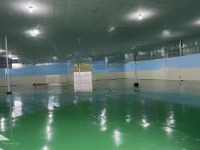 Xưởng Thuận An 400M Nền Epoxy, Trần Laphong, Điện 3 Pha , Pccc , Đường Xe Cont . Chỉ Làm Kho