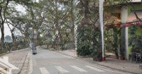 Bán Nhà Mp Tây Trà 90M 4 Tầngmặt Tiền5,3M Vỉa Hè Ô Tô Tránh Kinh Doanh Đỉnh