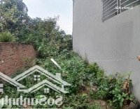 Cần Bán 58M2 Đất 2Mt Trước Sau Tại Tráng Viêt - Mê Linh